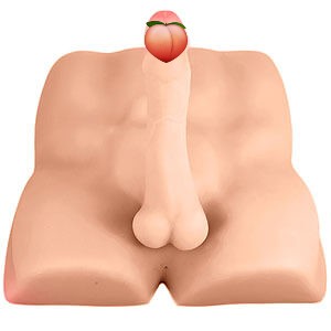 Blush X5 Rough Rider, sexy pánske torzo s penisom